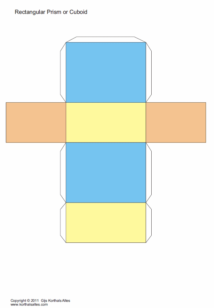 Net rectangular prism or cuboid in color